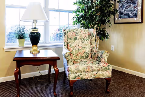 A cozy corner of a room featuring a floral upholstered armchair next to a wooden side table with a green and gold lamp and a small potted plant. Behind the chair is a large window letting in natural light and a tall green plant in the corner. A framed picture hangs on the beige wall.