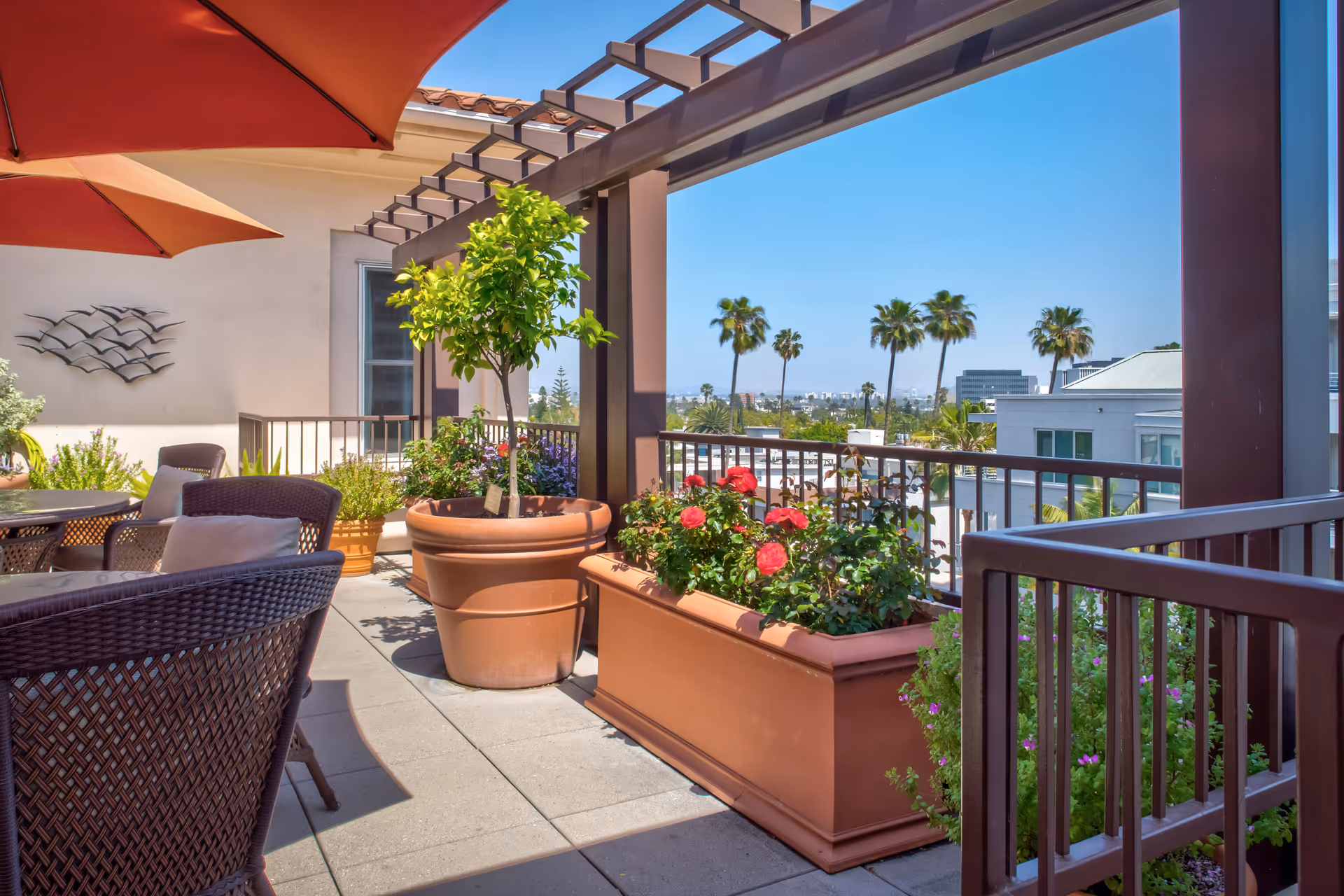Sunlit rooftop patio with potted flowers and small trees, wicker seating under umbrellas, and a view of palm trees and nearby buildings.