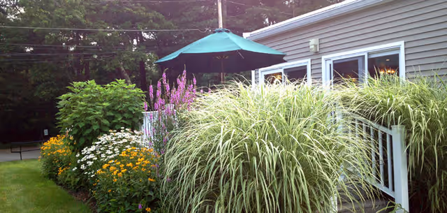 Outdoor garden area with various flowering plants and tall grasses next to a building with sliding glass doors and a patio umbrella.