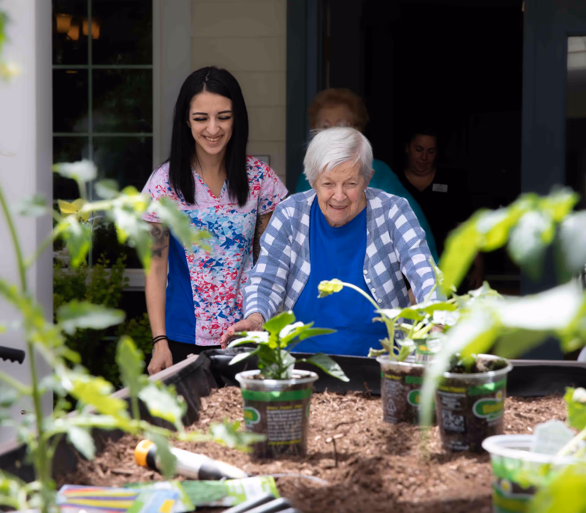 An elderly woman in a blue shirt and checkered cardigan is gardening with the assistance of a smiling young caregiver wearing a colorful scrub top. They are outdoors near a raised garden bed with small plants in plastic containers. Two other people are visible in the background inside a building.