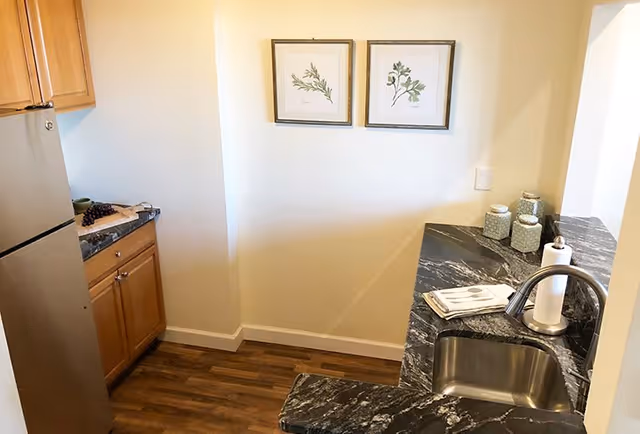 Small kitchen area with wooden cabinets, a stainless steel refrigerator, a black marble countertop with a sink, paper towel holder, and decorative jars. Two framed botanical prints hang on the wall above the countertop. The floor has a wood-like finish.