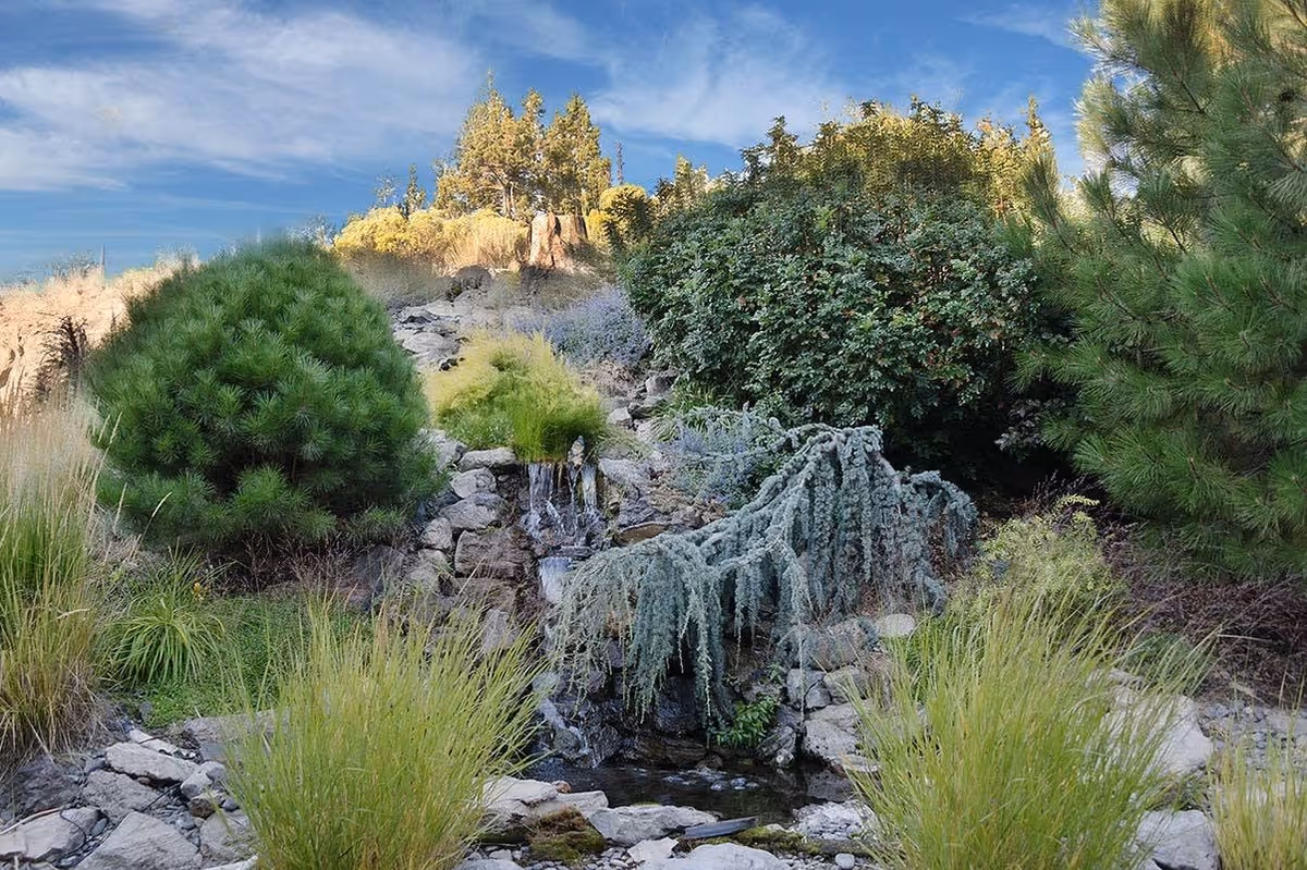 A landscaped outdoor garden area featuring various green shrubs, bushes, and grasses with a small cascading waterfall flowing over rocks under a partly cloudy blue sky.