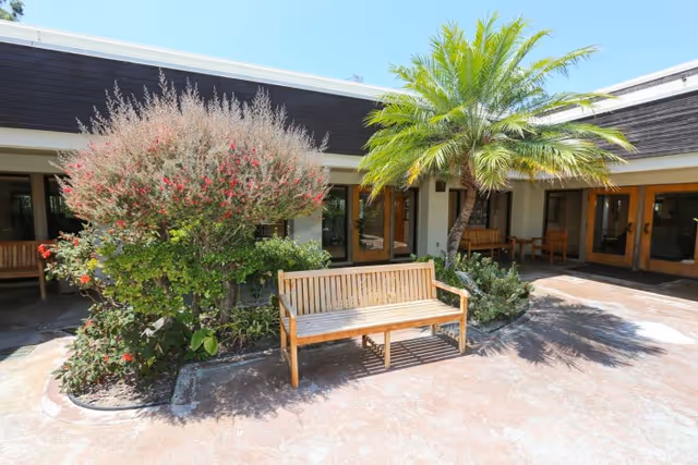 A wooden bench sits in a sunny courtyard with a palm tree, flowering shrub, and building entrances in the background.