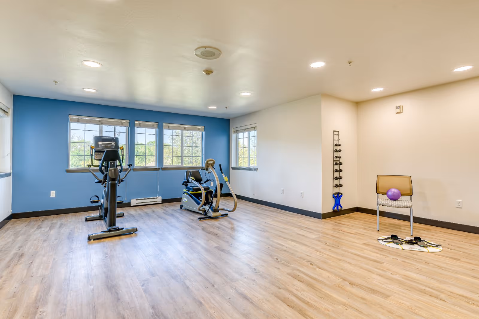 Bright exercise room with two cardio machines by windows, a chair with a purple exercise ball, hand weights on a rack, and wood-look flooring.