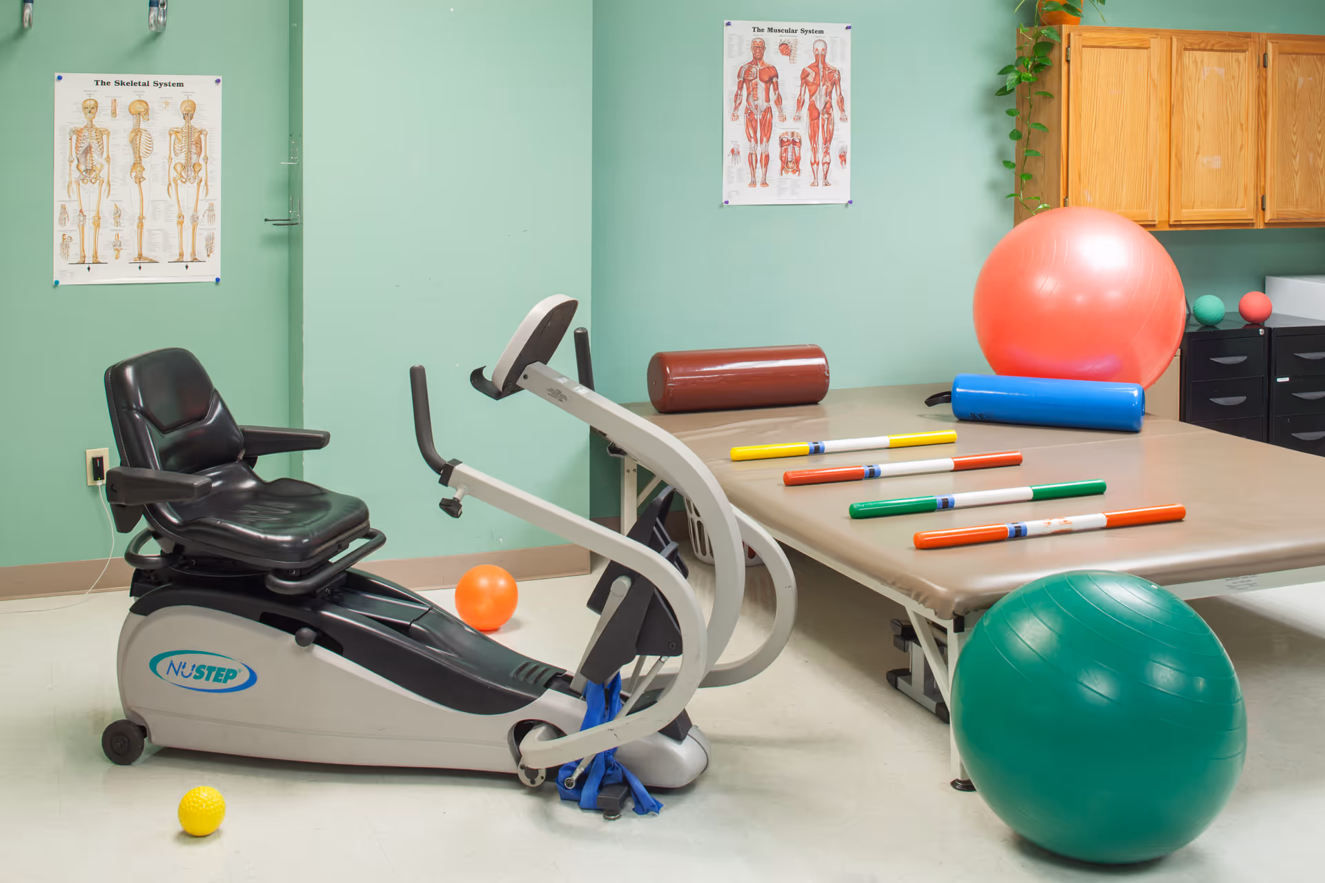 A physical therapy or exercise room with a NuStep recumbent cross trainer, a padded therapy table with colorful rods on it, and various exercise balls including a large green ball and a large pink ball. The walls are light green with anatomical posters of the skeletal and muscular systems. There are wooden cabinets and a small black drawer unit in the background.