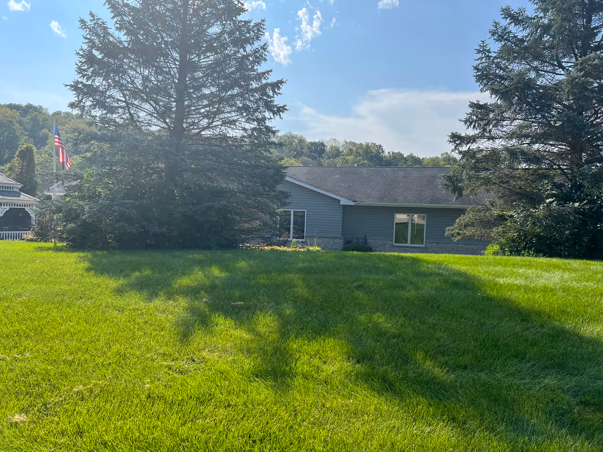 A single-story building partly hidden by large evergreen trees with a green lawn and an American flag to the left under a blue sky.