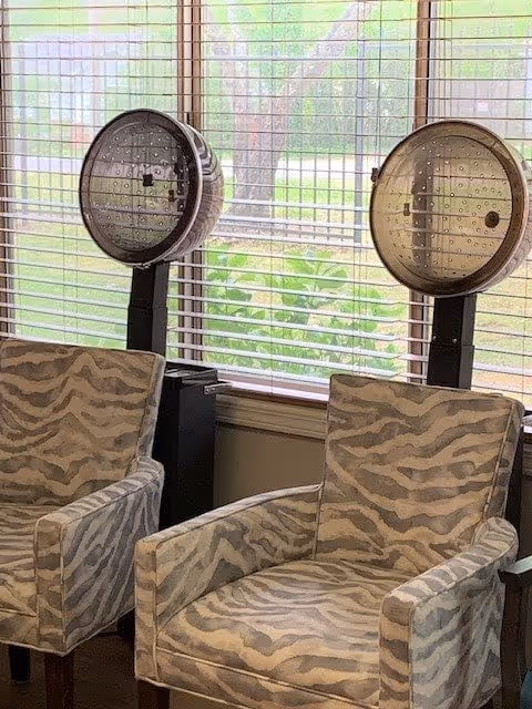 Two vintage hair drying chairs with zebra-patterned upholstery positioned in front of large windows with blinds, showing a green outdoor area through the glass.