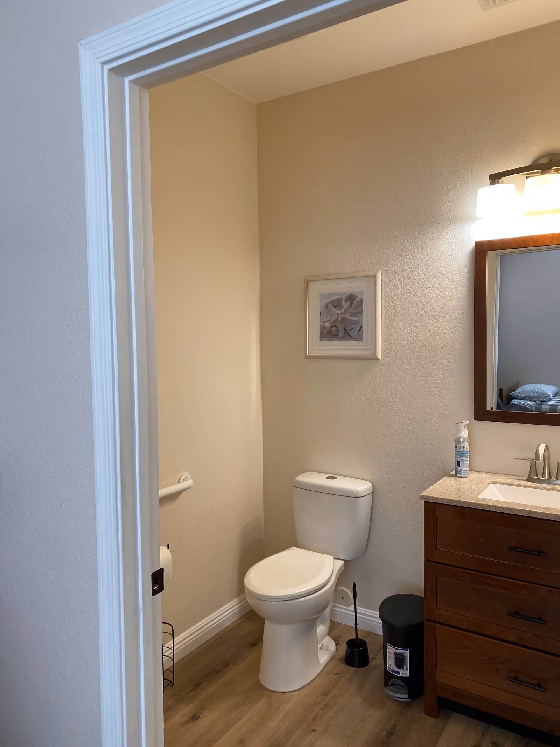A small bathroom with a white toilet, a wooden vanity with a sink and faucet, a mirror above the sink, a wall-mounted light fixture, a framed picture on the wall, a toilet brush, a small trash can, and a toilet paper holder on the left wall.