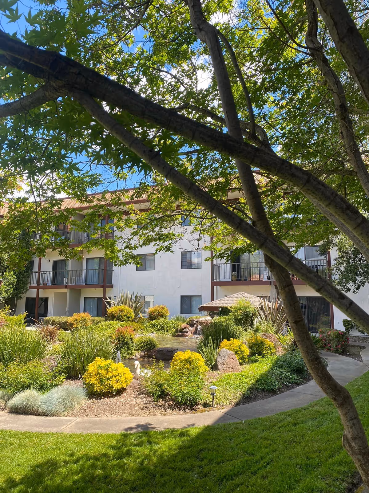 View of a senior living facility's outdoor garden area with lush green grass, various shrubs, and a small pond surrounded by rocks. The building has three stories with balconies and large windows. Tree branches with green leaves frame the top of the image.
