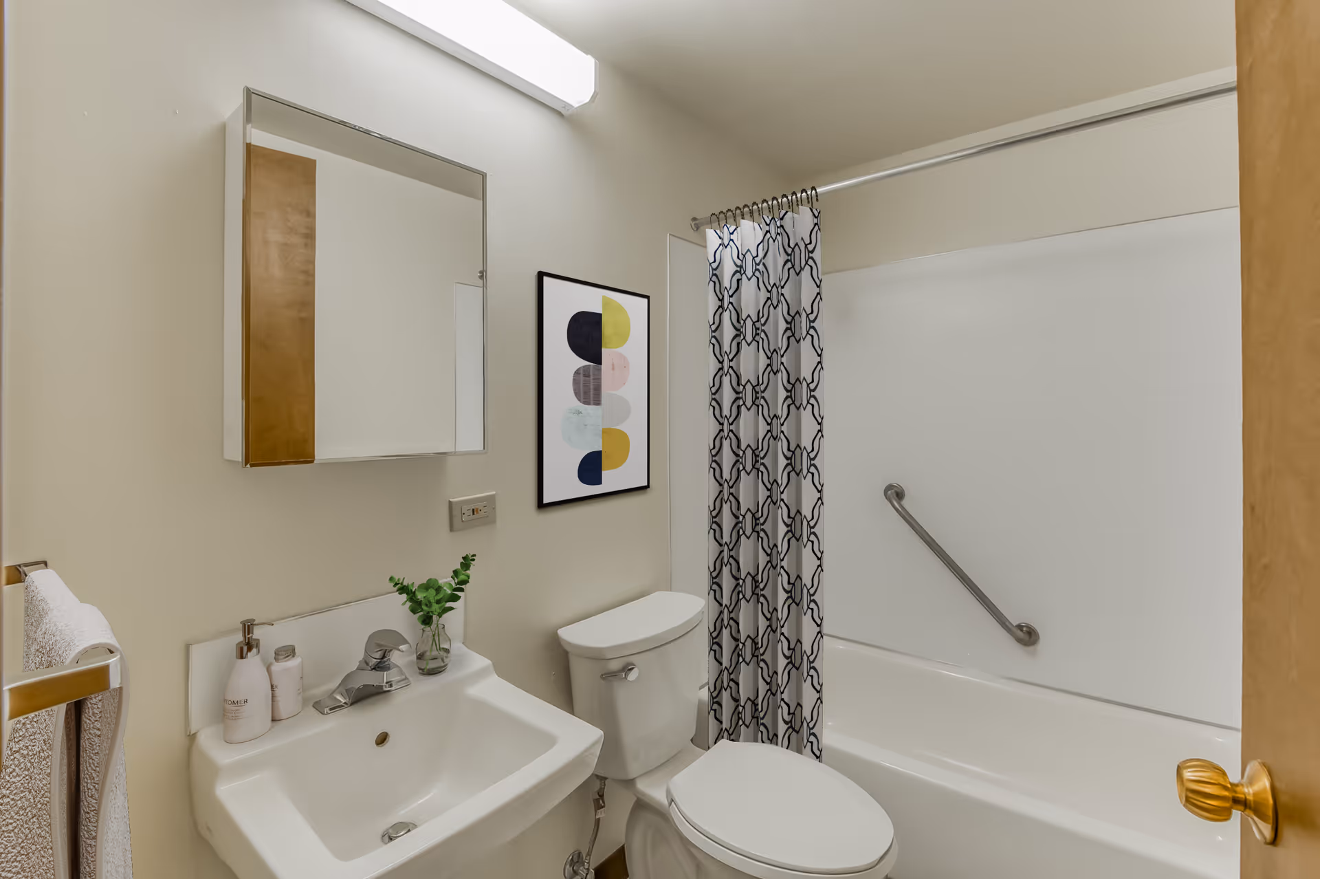 A clean bathroom featuring a white sink with a soap dispenser and small plant on the counter, a toilet, and a bathtub with a patterned shower curtain and a grab bar. There is a wall-mounted mirror cabinet above the sink and a framed abstract artwork on the wall.