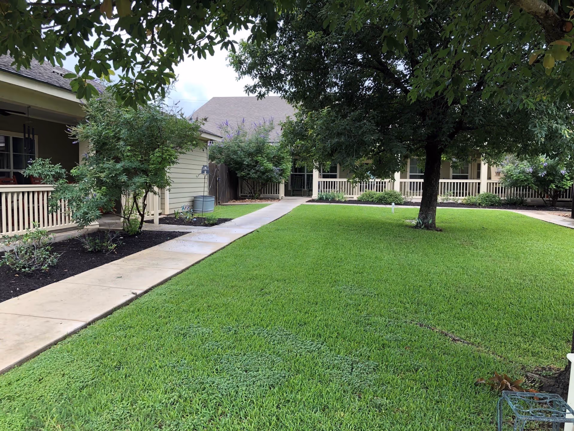 A well-maintained outdoor courtyard area with a green lawn, a large tree in the center, and a concrete walkway leading to a building with a covered porch and railing. Shrubs and small plants line the walkway and the building exterior.