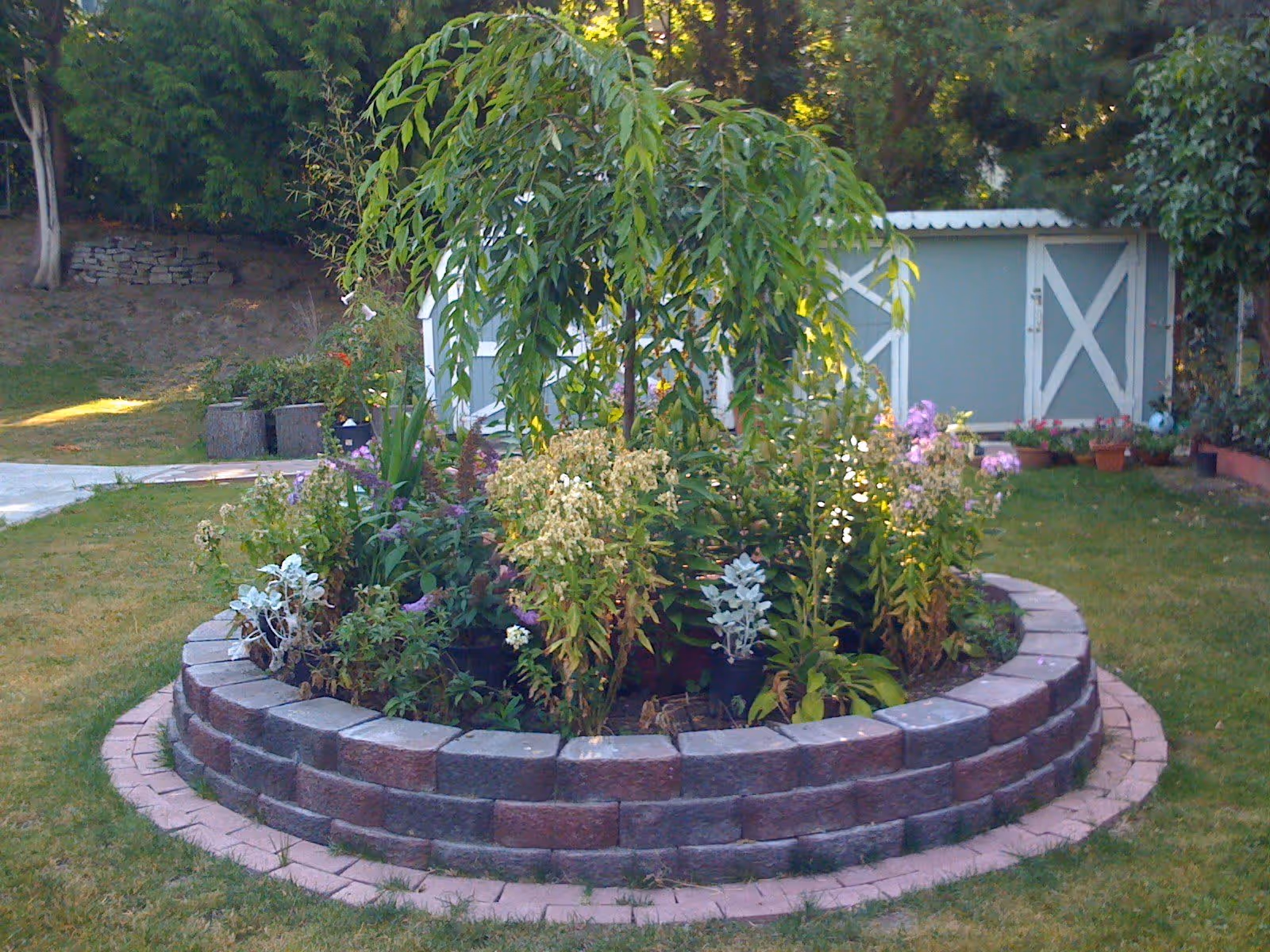 A circular raised garden bed made of stone bricks filled with various green plants and flowers, situated on a grassy lawn. In the background, there is a light blue garden shed with white trim and double doors, surrounded by trees and shrubs.