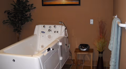 Walk-in bathtub with control panel in a warmly decorated bathroom with a towel rack, potted plants, and a small table holding an audio player.