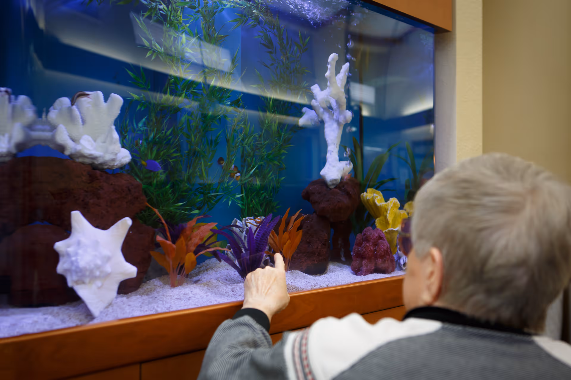 An elderly person with short gray hair is pointing at a large aquarium filled with colorful artificial plants, coral decorations, and small fish inside a senior living facility.