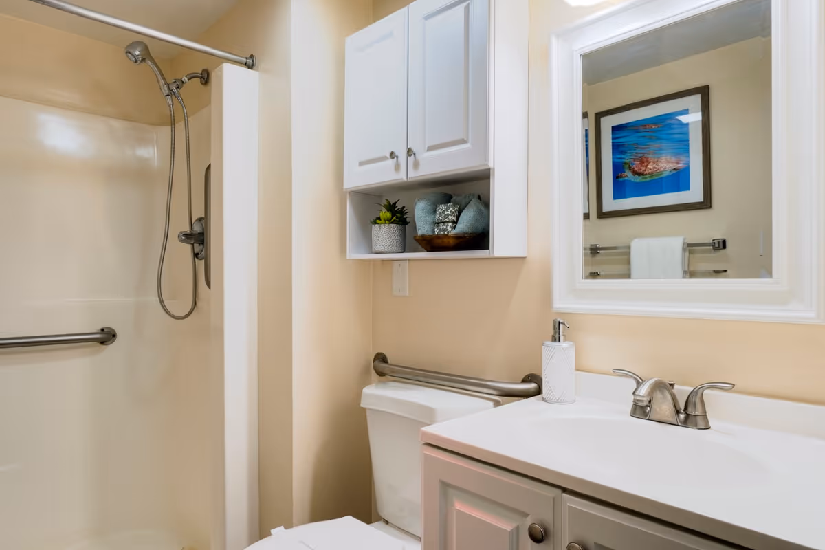 A clean bathroom featuring a shower with a handheld showerhead and grab bar, a white toilet with a grab bar beside it, a white vanity with a sink and faucet, a soap dispenser, a wall-mounted cabinet with towels and a small plant, and a mirror reflecting a framed picture on the opposite wall.