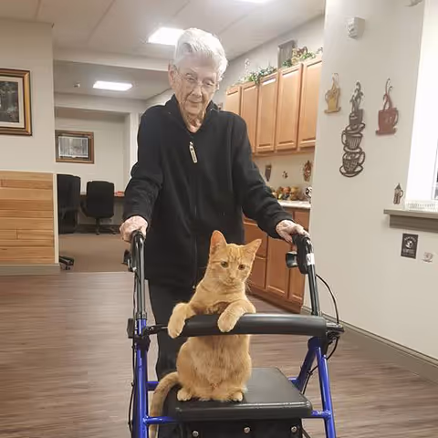 An elderly woman using a walker inside a facility, with an orange cat sitting on the walker's seat. The background shows a hallway with wooden cabinets and wall decorations.
