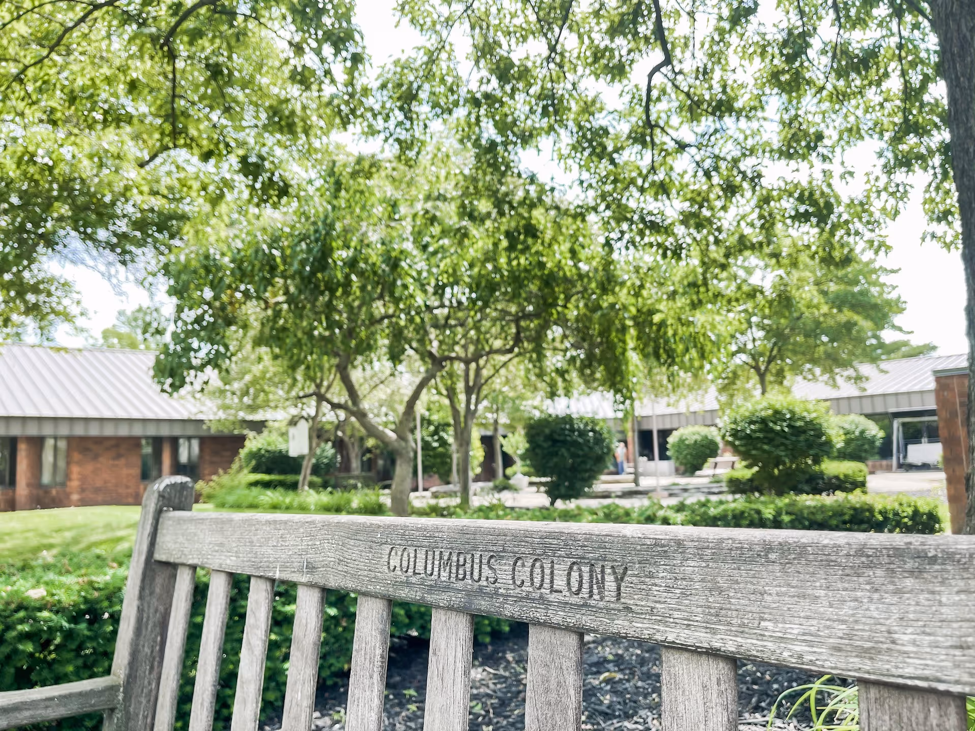 A wooden bench with the words 'COLUMBUS COLONY' engraved on the backrest is in the foreground. Behind the bench, there is a landscaped garden area with green bushes, trees, and a building with a metal roof and brick walls. The scene is outdoors with bright natural light filtering through the tree leaves.
