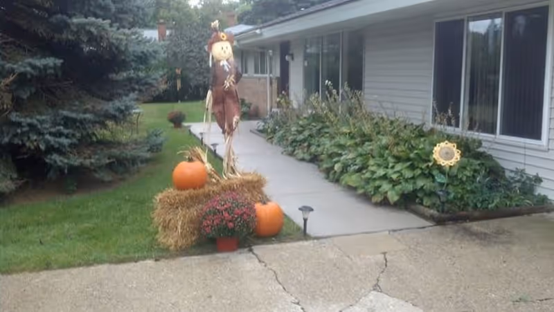 Outdoor walkway beside a single-story building with large windows, bordered by green plants and a lawn. A fall-themed decoration with a scarecrow, two pumpkins, and a pot of flowers is placed on a hay bale near the walkway.