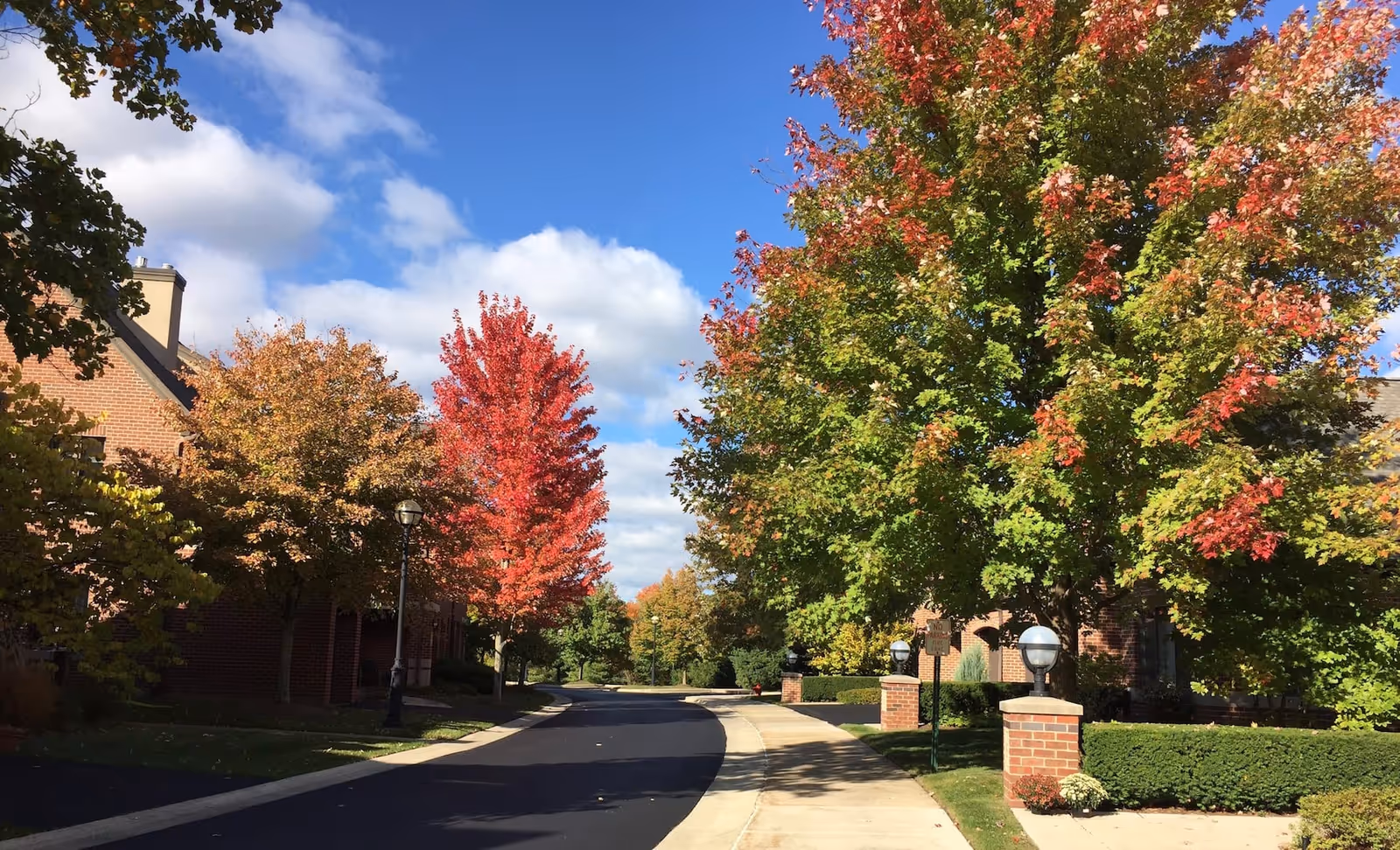 Tree-lined driveway at a senior living community with brick buildings and colorful autumn foliage under a blue sky.