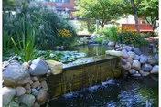 A serene outdoor garden area featuring a small waterfall flowing over a stone ledge into a pond surrounded by rocks, with green plants, trees, and yellow flowers in the background.