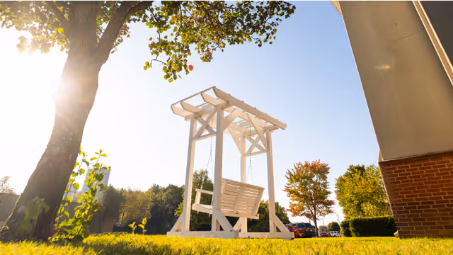 A white wooden swing set with a bench seat is situated on a grassy lawn near a tree and a building. The sun shines brightly through the leaves of the tree, casting light and shadows on the grass. In the background, there are trees with autumn-colored leaves and a few parked cars under a clear blue sky.