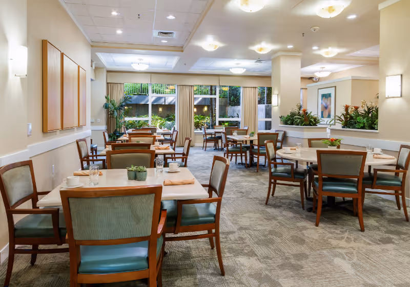 A bright and spacious dining room with multiple tables and chairs arranged neatly. The room features large windows with beige curtains allowing natural light to illuminate the space. There are plants and framed artwork on the walls, creating a welcoming atmosphere.