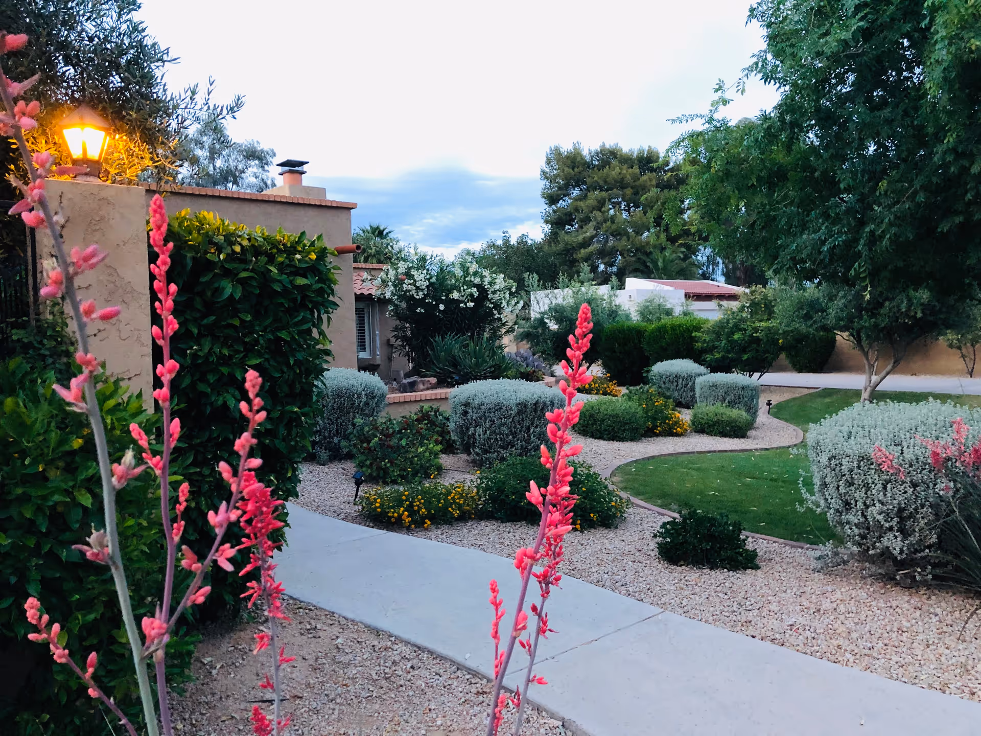 Landscaped outdoor courtyard with a paved walkway, flowering pink stalks, trimmed shrubs, and a stucco building in the background.