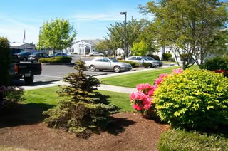 View of a parking lot with several parked cars and a landscaped area with green bushes, pink flowers, and small trees in the foreground under a clear sky.