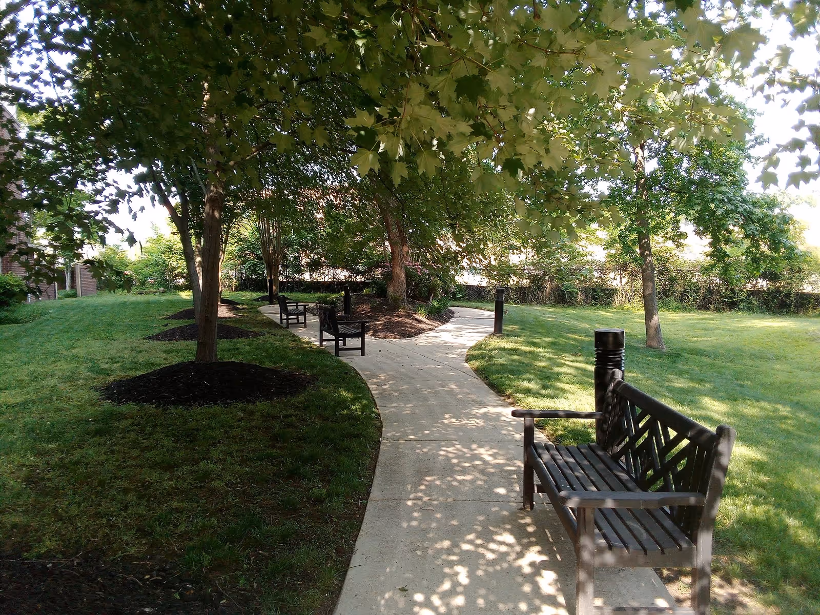 A shaded outdoor walking path lined with trees and several wooden benches on either side, surrounded by green grass and landscaping.