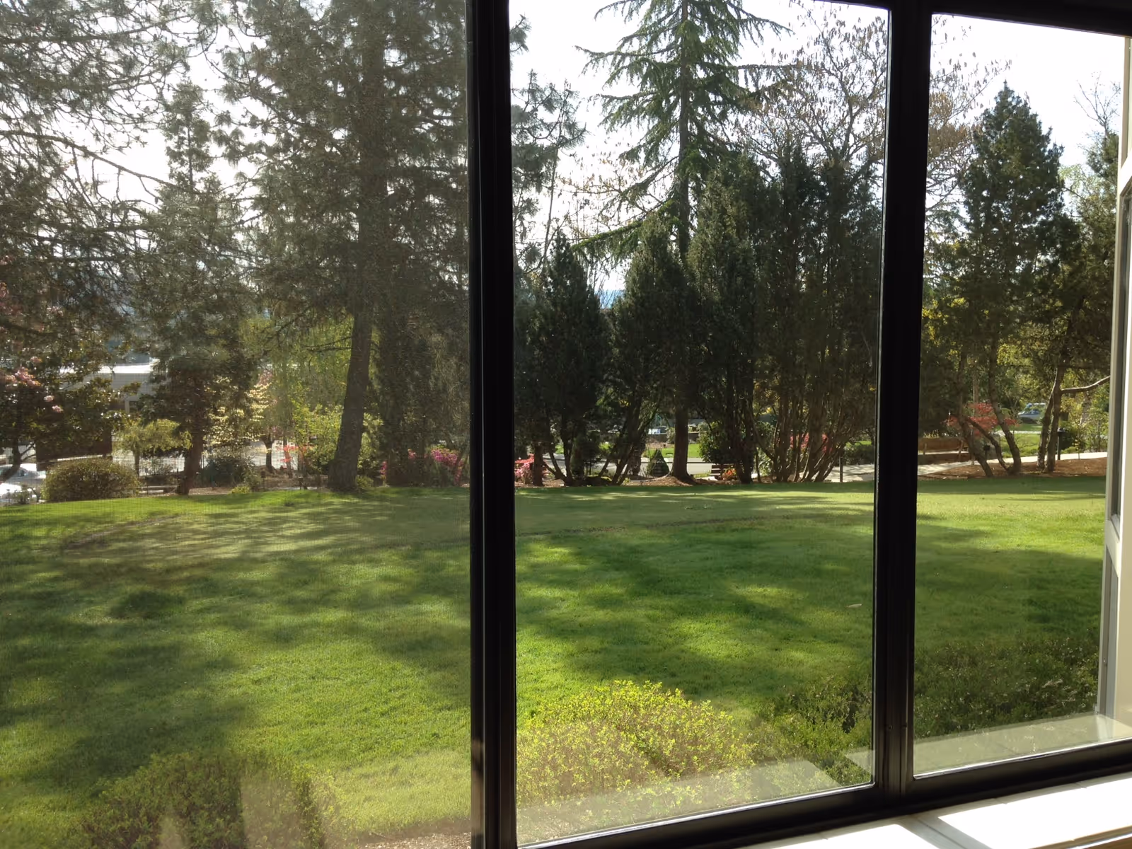 View through a large window showing a green lawn with trees and bushes outside under daylight.