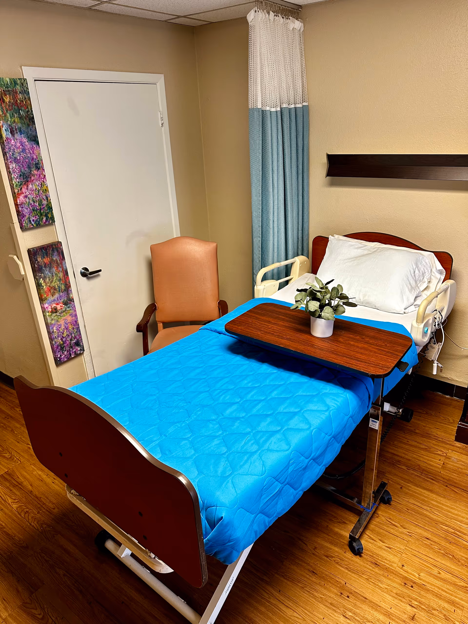 A hospital-style bed with a bright blue quilted blanket and a white pillow in a room with wooden flooring. A brown overbed table with a small potted plant is positioned over the bed. Next to the bed is a tan upholstered chair. The room has beige walls, a white door, two colorful floral paintings on the wall, and a blue and white privacy curtain hanging near the bed.