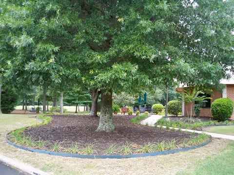 A landscaped outdoor area featuring a large tree in the center of a circular mulched bed surrounded by grass and small plants. A paved walkway curves around the bed leading to a brick building partially visible on the right, with trimmed bushes and outdoor seating in the background.