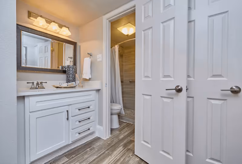 A clean and modern bathroom featuring a white vanity with a sink, a large mirror with a wooden frame, and a light fixture above. The bathroom has wood-look tile flooring and a partially open door revealing a toilet and a shower with a curtain and tiled walls.