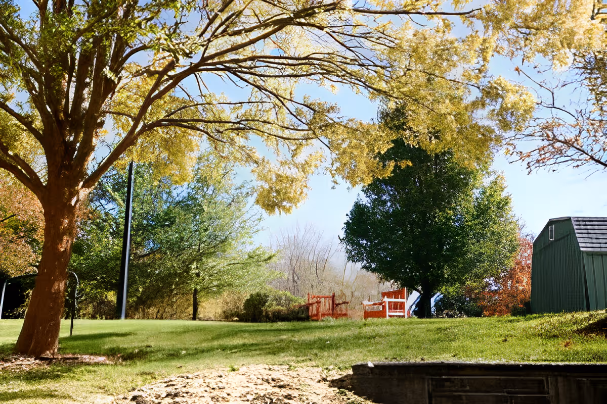 A peaceful outdoor garden area with green grass, large trees with yellow and green leaves, a small green shed on the right, and two red wooden benches in the background under a clear blue sky.