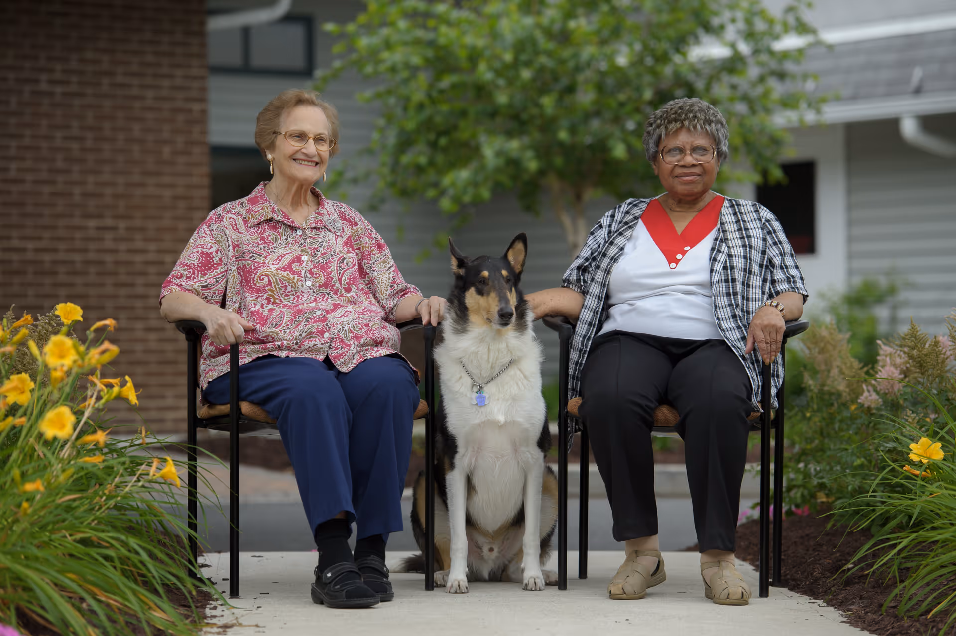 Two elderly women sitting on chairs outside on a sidewalk with a black and white dog sitting between them. They are surrounded by yellow flowers and greenery, with a building and tree in the background.