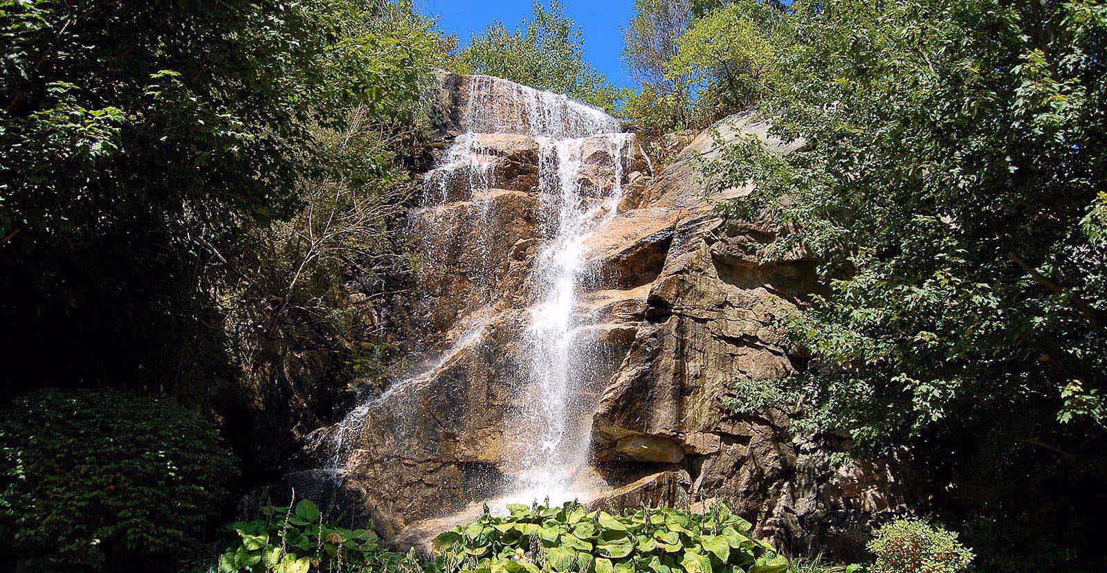 A natural outdoor scene featuring a waterfall cascading down a rocky cliff surrounded by lush green trees and plants under a clear blue sky.
