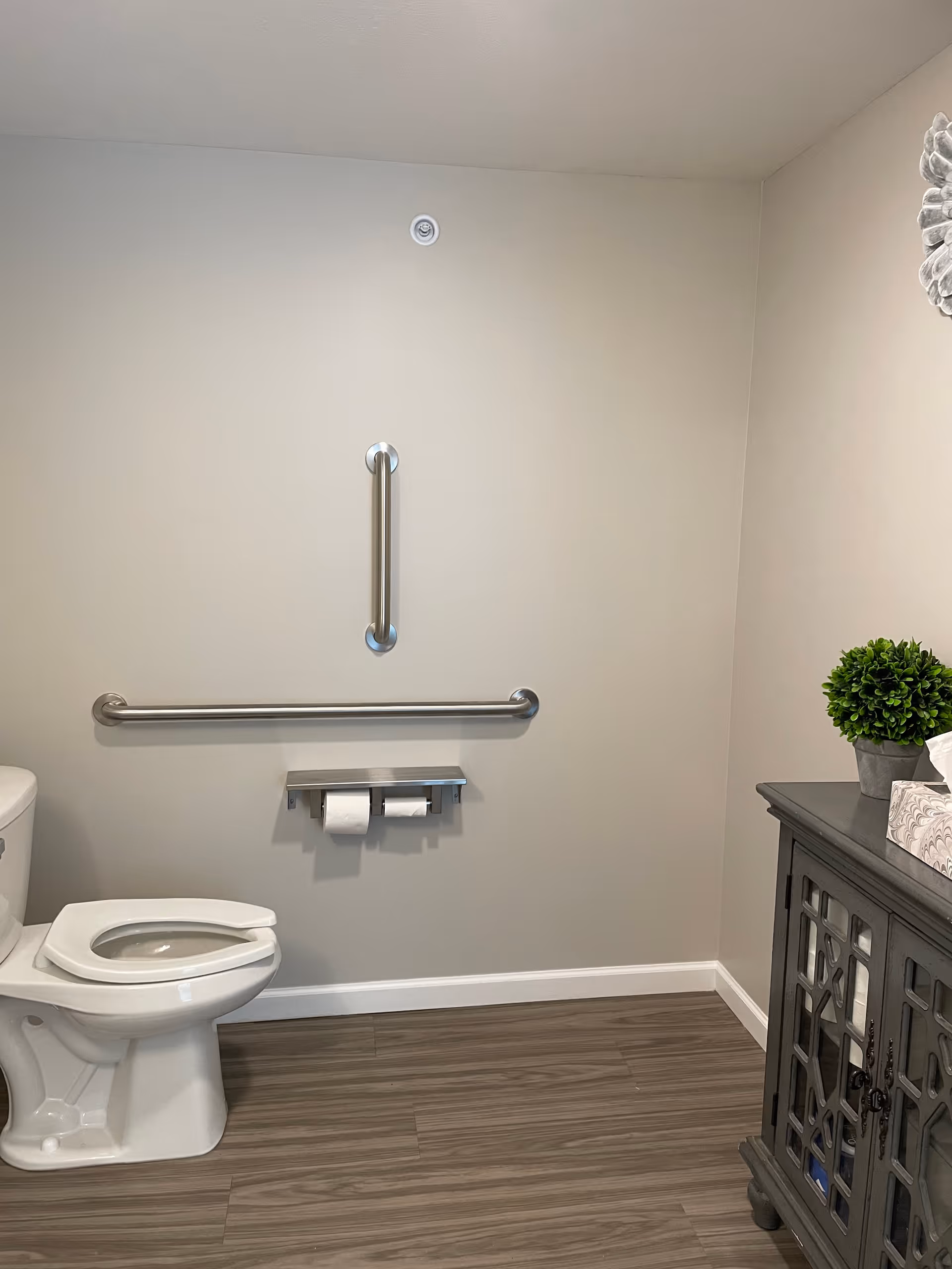 A clean and accessible bathroom with a white toilet, two stainless steel grab bars mounted on the wall, a double toilet paper holder with two rolls, and a gray cabinet with a small green potted plant and a box of tissues on top. The floor has wood-like tiles and the walls are painted light beige.