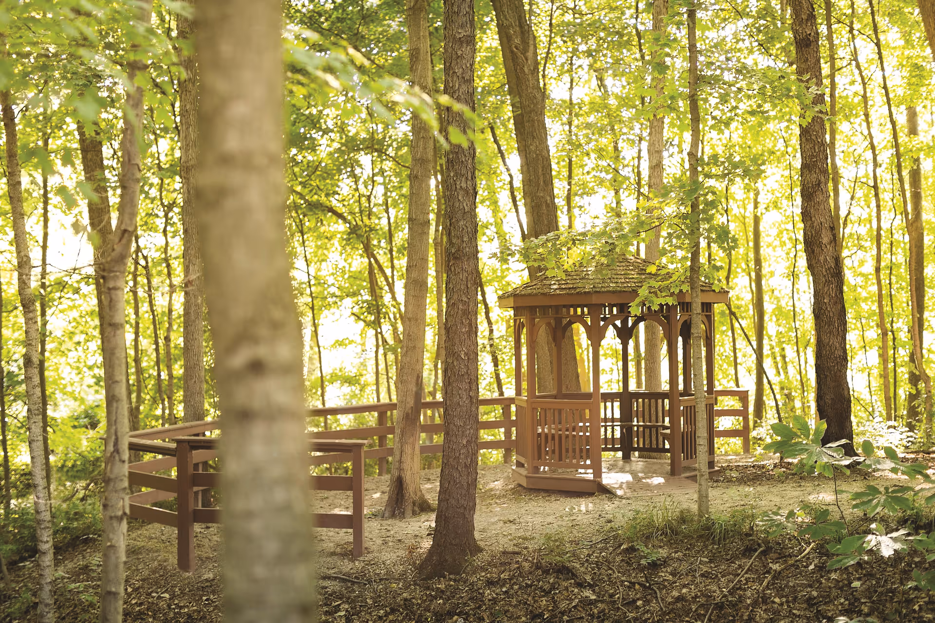 A wooden gazebo surrounded by trees in a sunlit forested area with a wooden fence nearby.