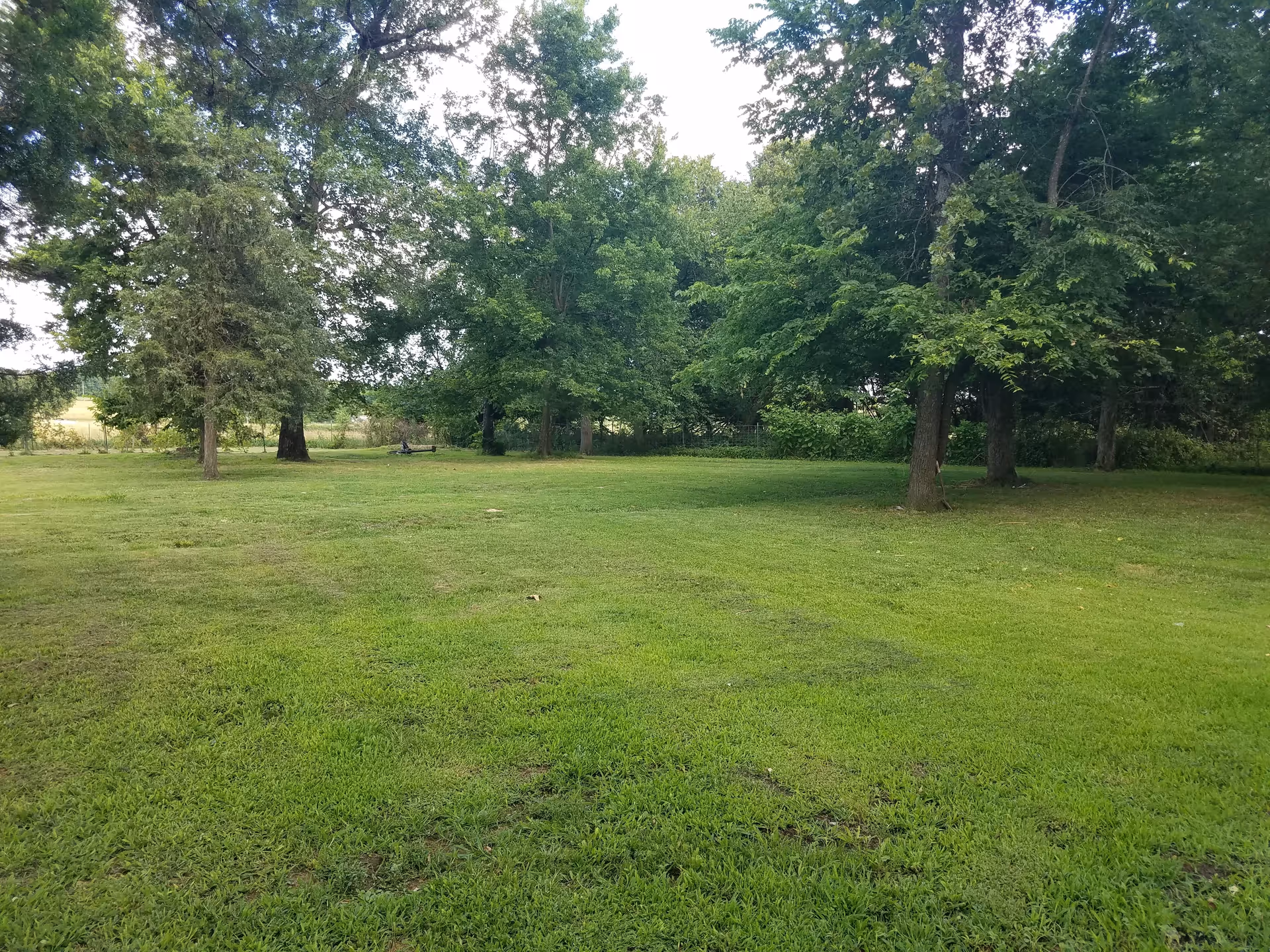 A grassy outdoor area with several trees scattered around, providing shade and greenery. The scene is peaceful and natural, with a well-maintained lawn and dense foliage in the background.