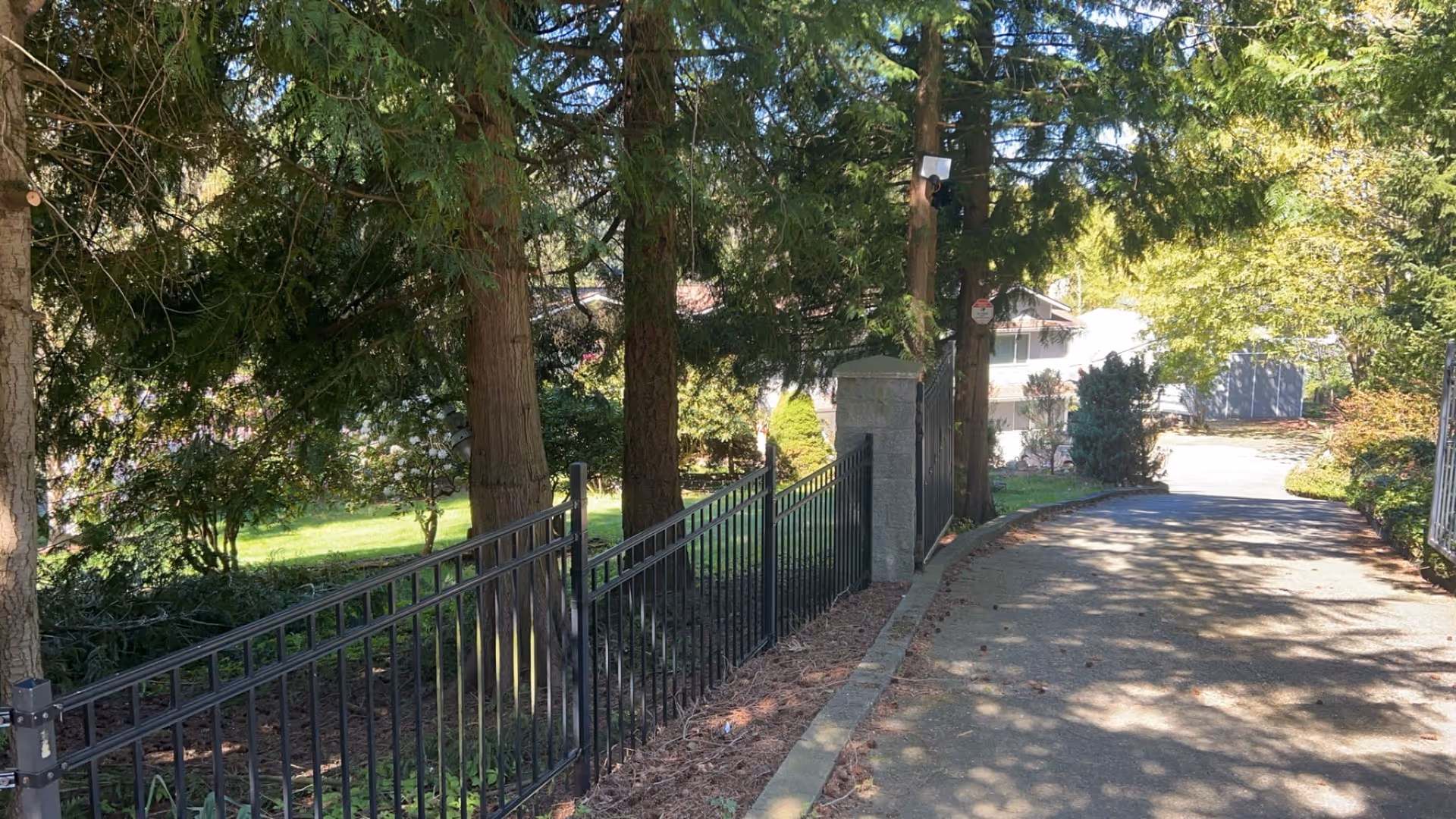 A paved driveway lined with a black metal fence on the left side and tall trees providing shade. The driveway curves to the right, leading towards a residential building partially visible in the background. The area is surrounded by greenery and bushes under a sunny sky.