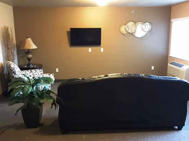 A simple living room with a black sofa facing a wall-mounted TV, an armchair and side table with lamp, a potted plant, and circular wall art.