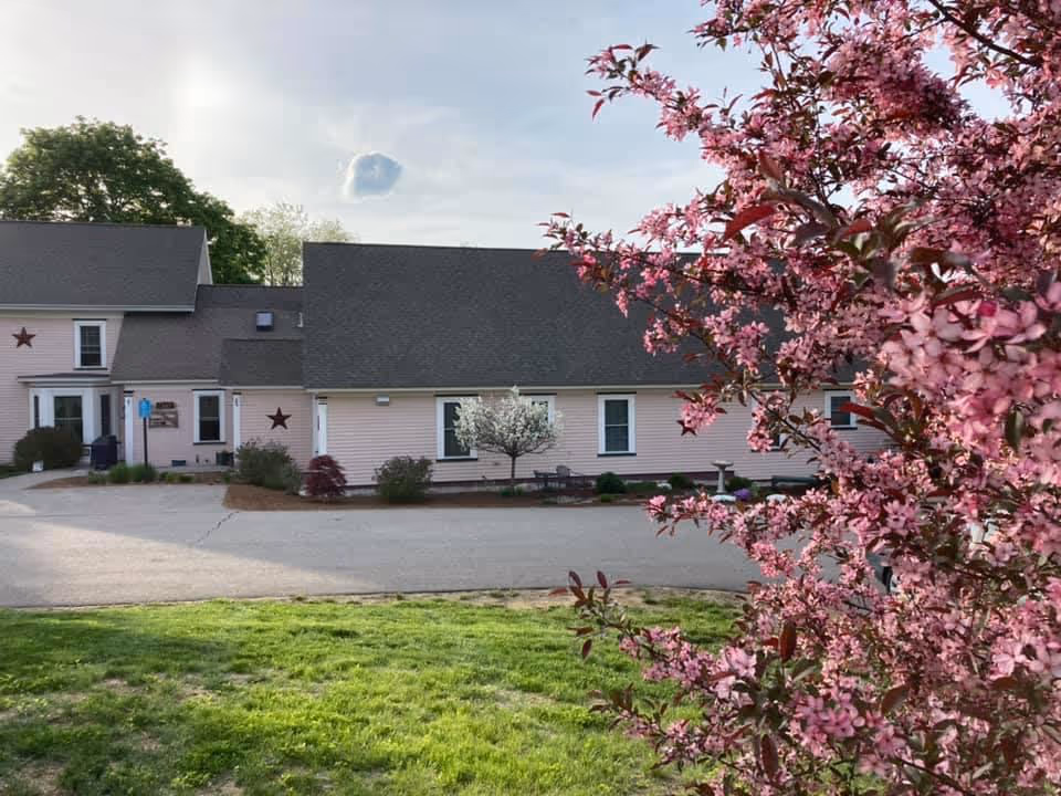 Exterior view of a single-story building with light pink siding and a dark gray roof, surrounded by greenery. A tree with pink blossoms is prominently visible in the foreground on the right side. The building has several windows and decorative stars on the walls. The sky is partly cloudy.