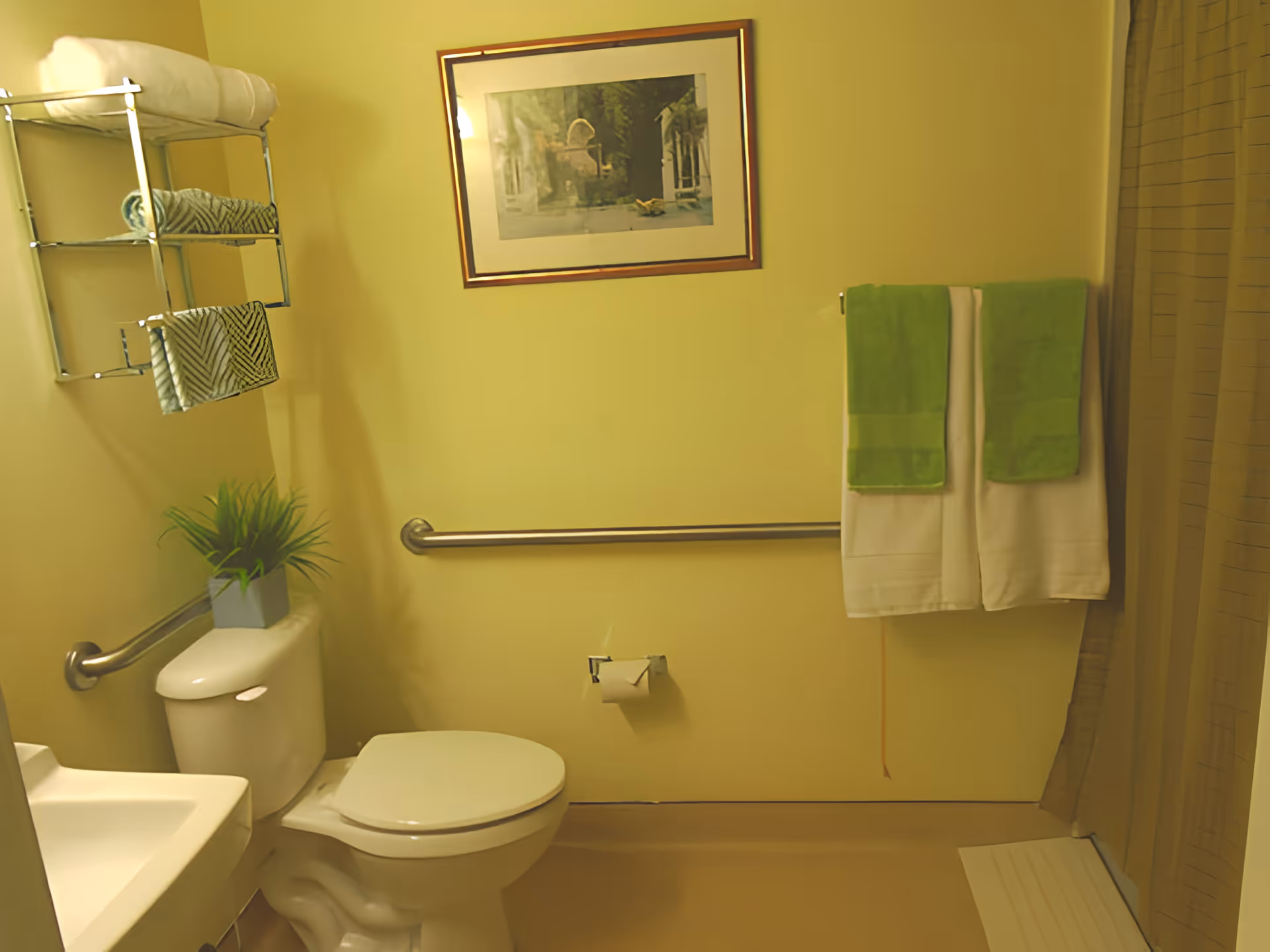 Accessible bathroom with a toilet and sink, grab bars, wall shelving with folded towels and a potted plant, and a towel rack with green towels.