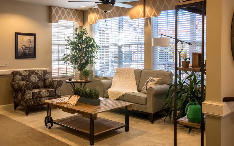 A cozy living room area with a patterned armchair, a gray sofa with a throw blanket and pillow, a wooden coffee table with decorative items, a tall plant, and large windows with blinds letting in natural light. There is also a standing lamp and a shelving unit with plants and decor.