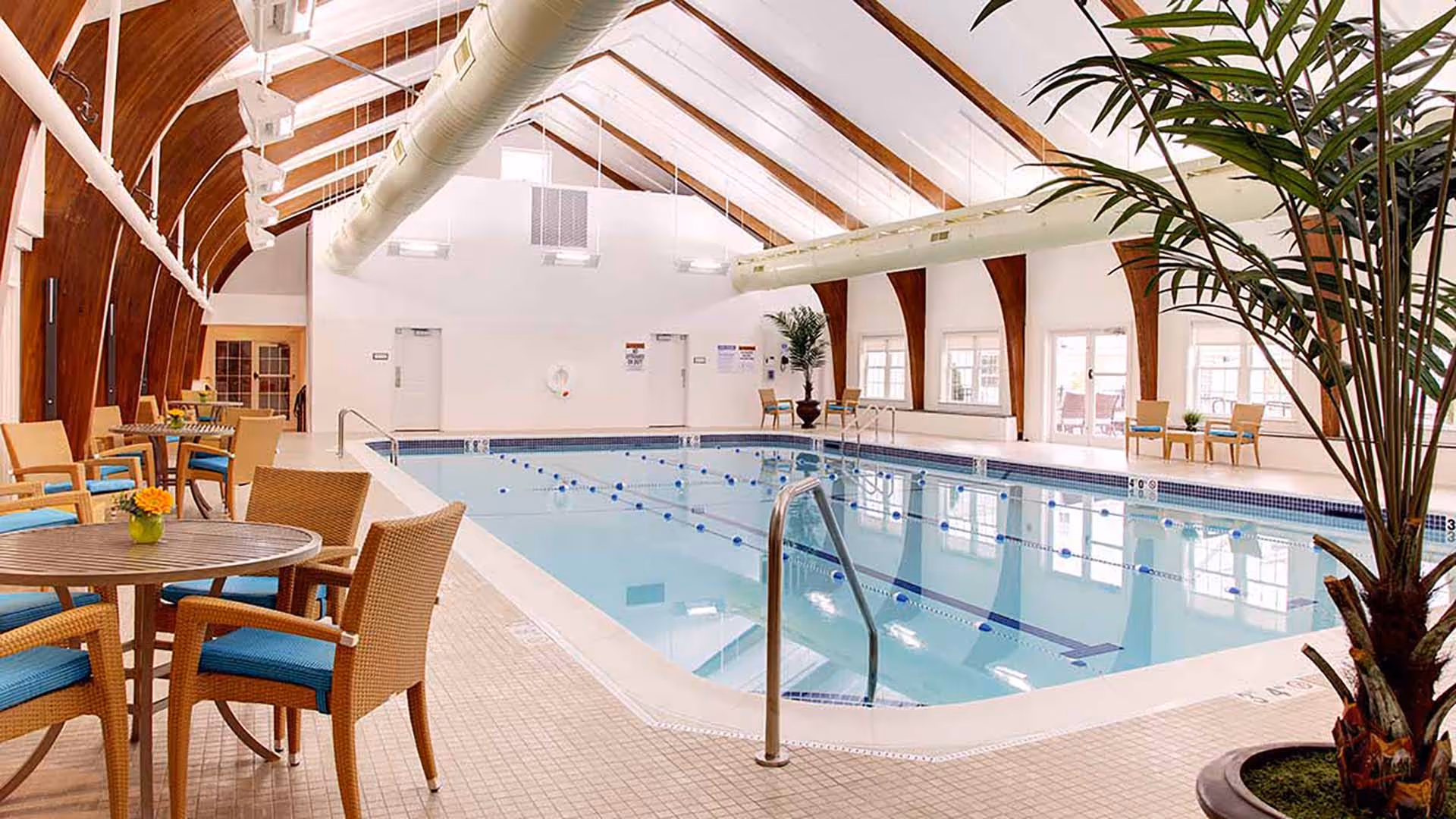 Indoor swimming pool area with clear water, lane dividers, and metal handrails. Surrounding the pool are tables and chairs with blue cushions, potted plants, and large windows letting in natural light. The ceiling has wooden beams and white ductwork.