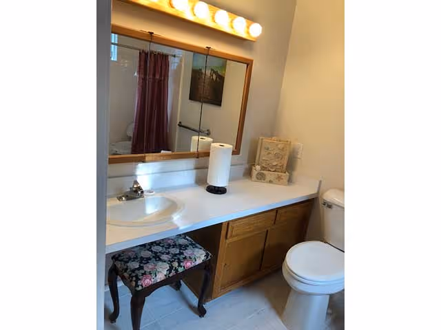 Bathroom vanity with sink, large mirror, paper towel roll, floral stool, and toilet with a shower reflected in the mirror.