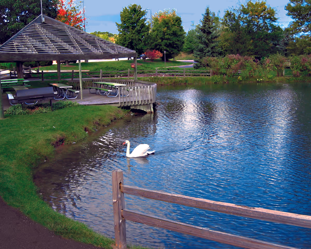 A peaceful outdoor scene featuring a pond with a white swan swimming near the shore. There is a wooden gazebo with picnic tables and benches on a grassy area beside the pond. Trees with green and some autumn-colored leaves are visible in the background under a partly cloudy sky.