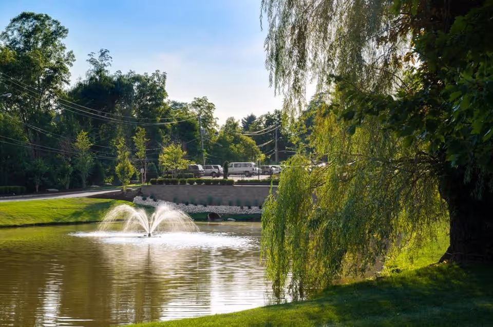 A serene outdoor scene featuring a small pond with a water fountain spraying water upwards. Surrounding the pond are lush green trees and grass, with a large weeping willow tree on the right side. In the background, there is a parking area with several vehicles and a stone retaining wall, under a clear blue sky.
