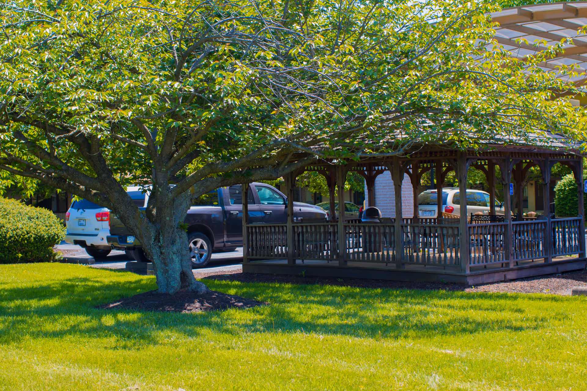 A large leafy tree stands on a well-maintained grassy lawn next to a wooden gazebo with a railing. Several parked vehicles are visible in the background behind the gazebo.