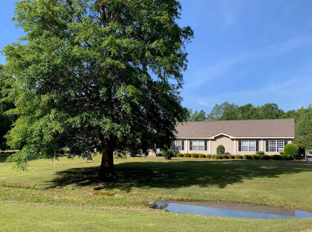 A single-story beige building with multiple windows surrounded by green grass and bushes. A large leafy tree stands prominently in the foreground with a small water puddle on the grass nearby. The sky is clear and blue.